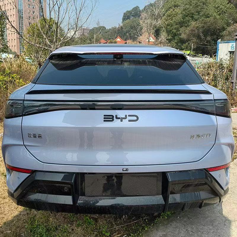 Back Badge for BYD Sealion 7 - Image 6