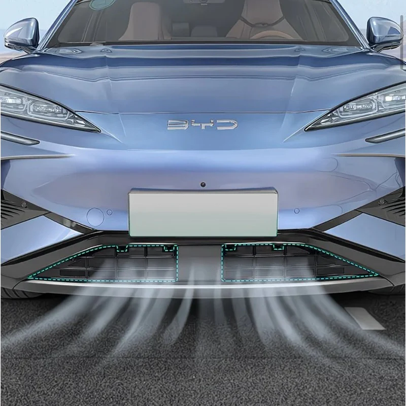 BYD Sealion 7 Grille Proof Net - Image 4