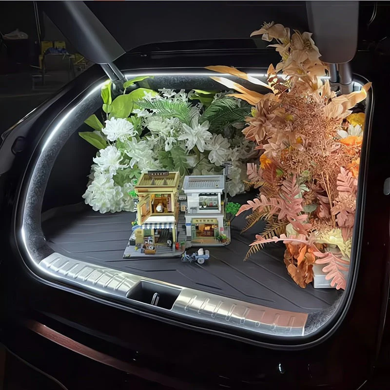 Car Lighting Ambient Light for BYD - Image 4