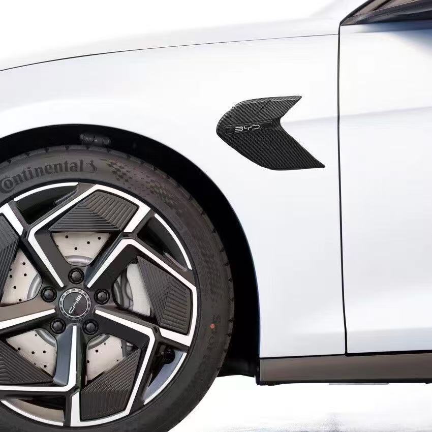 Wing Cover for BYD Seal - Image 2