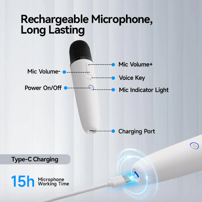 Wireless Microphone for BYD - Image 4