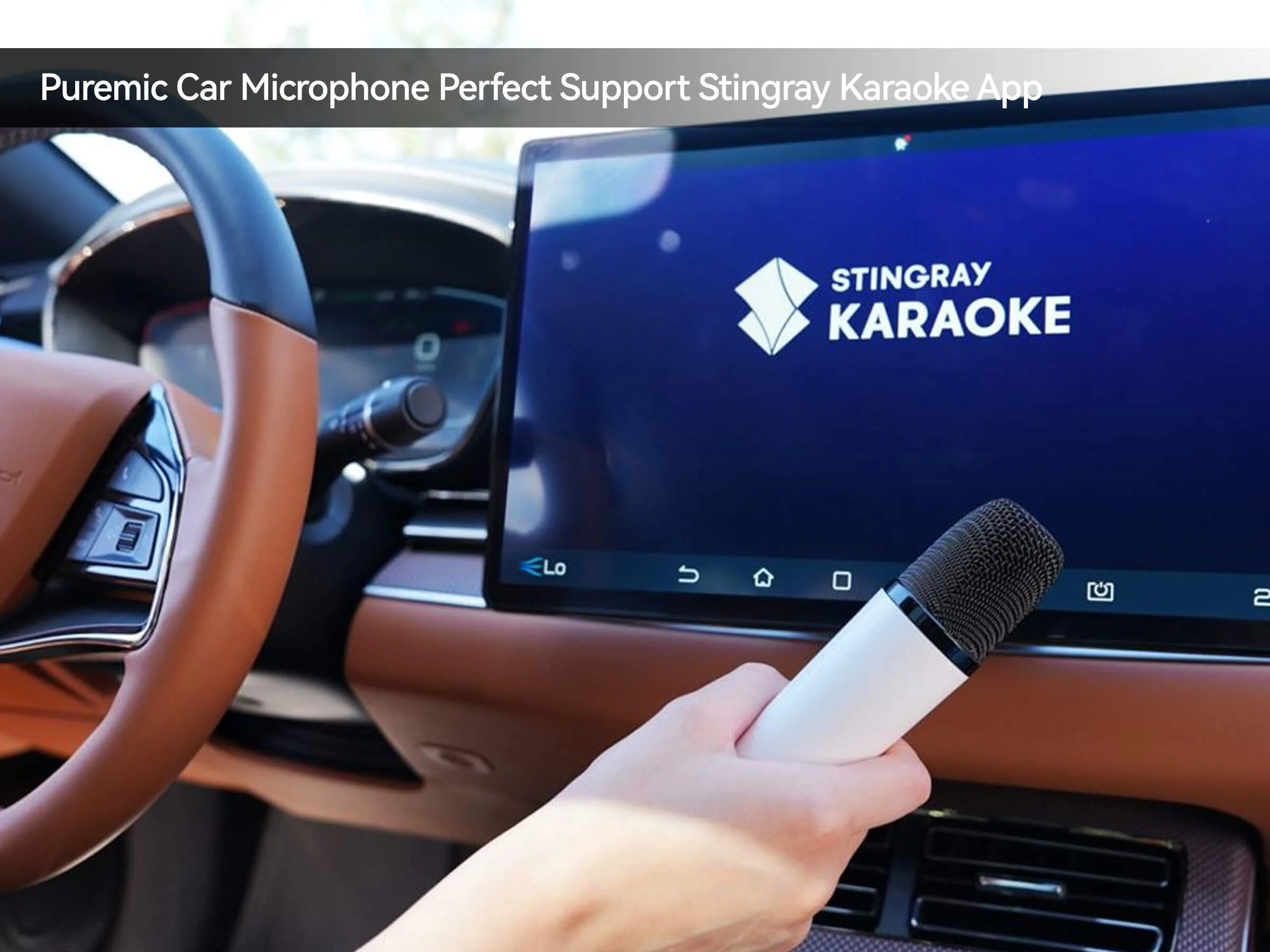 Wireless Microphone for BYD - Image 5